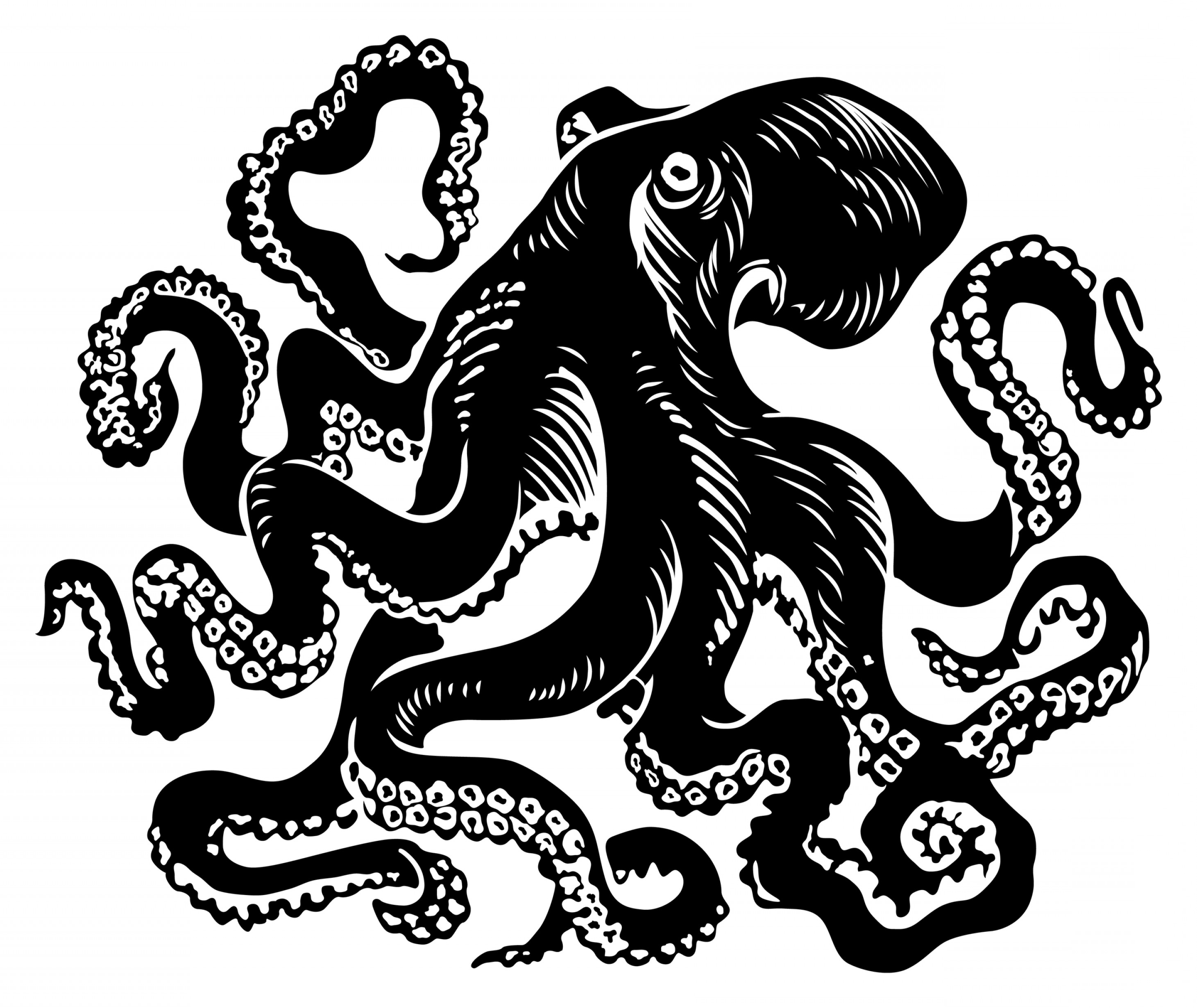 The Octopus: A Mixed-up Wonder