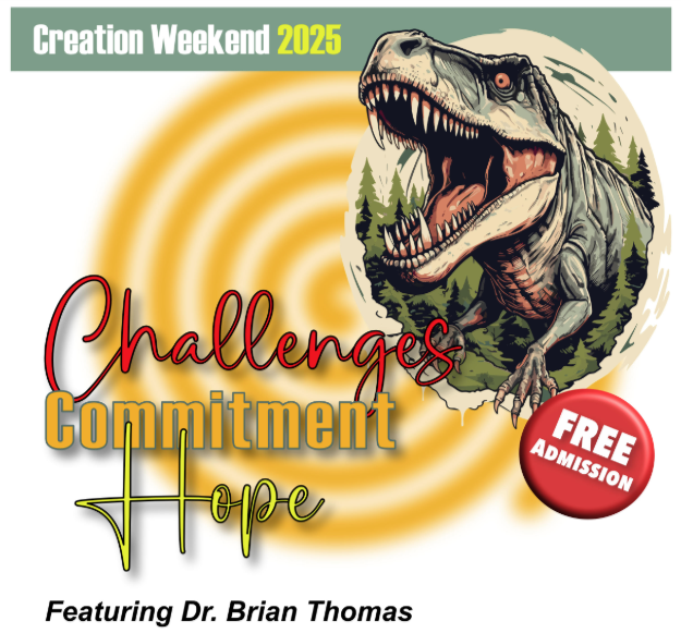 Creation Weekend 2025