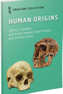 Human Origins