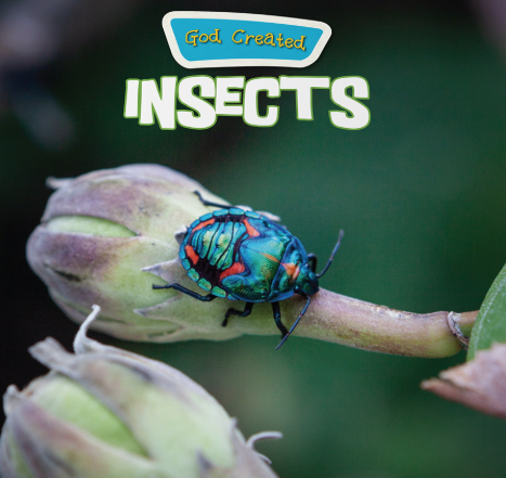 God Created Insects
