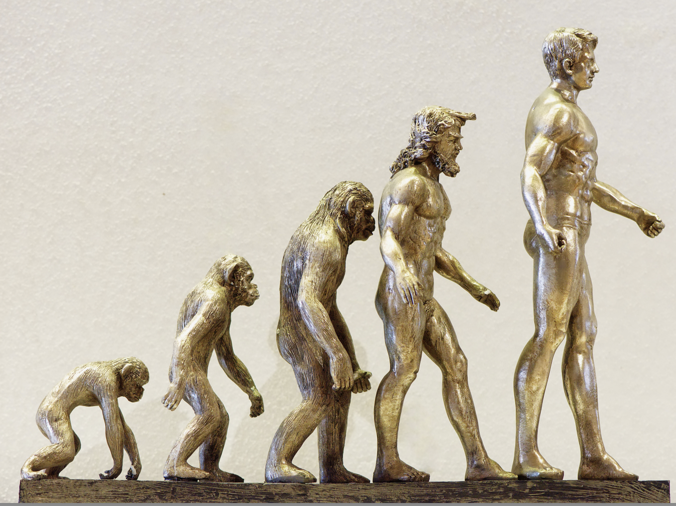 Adventures in Creation Science – My Personal Research Journey