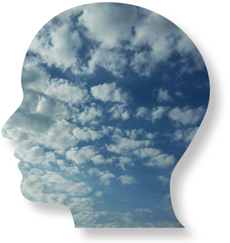 Flip Flopping on How to do Science