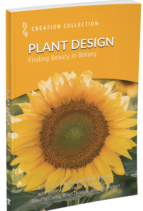 Plant Design: Finding Beauty in Botany