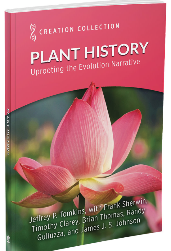 Plant History: Uprooting the Evolution Narrative