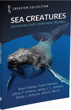 Sea Creatures
