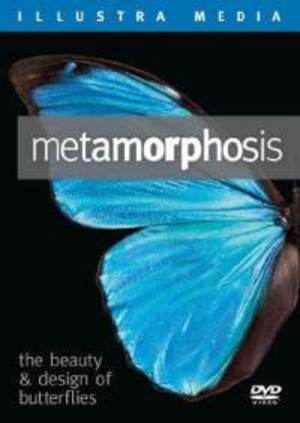 Metamorphosis