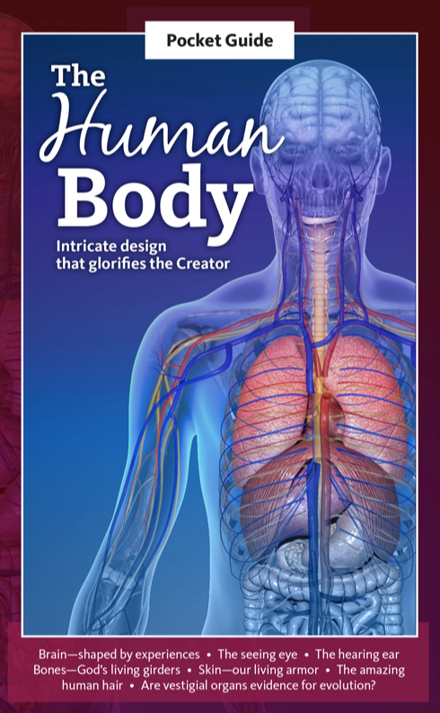 Pocket Guide to the Human Body